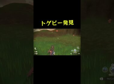 トゲピーでとち狂うおじさん #ポケモン #ゲーム実況