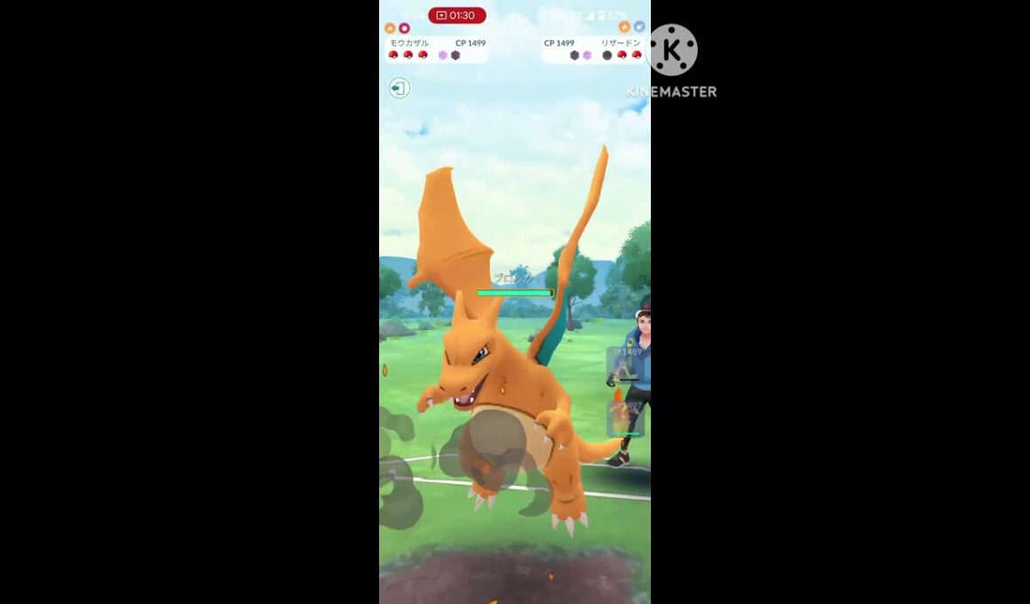 デデカス対策にムーランドはいかが？(絶対ガラガラとかのほうがいい)