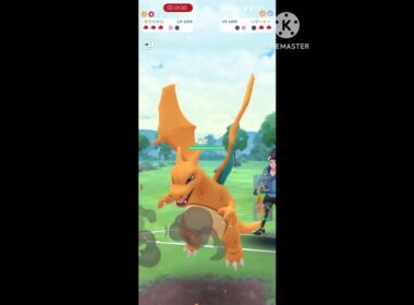 デデカス対策にムーランドはいかが？(絶対ガラガラとかのほうがいい)