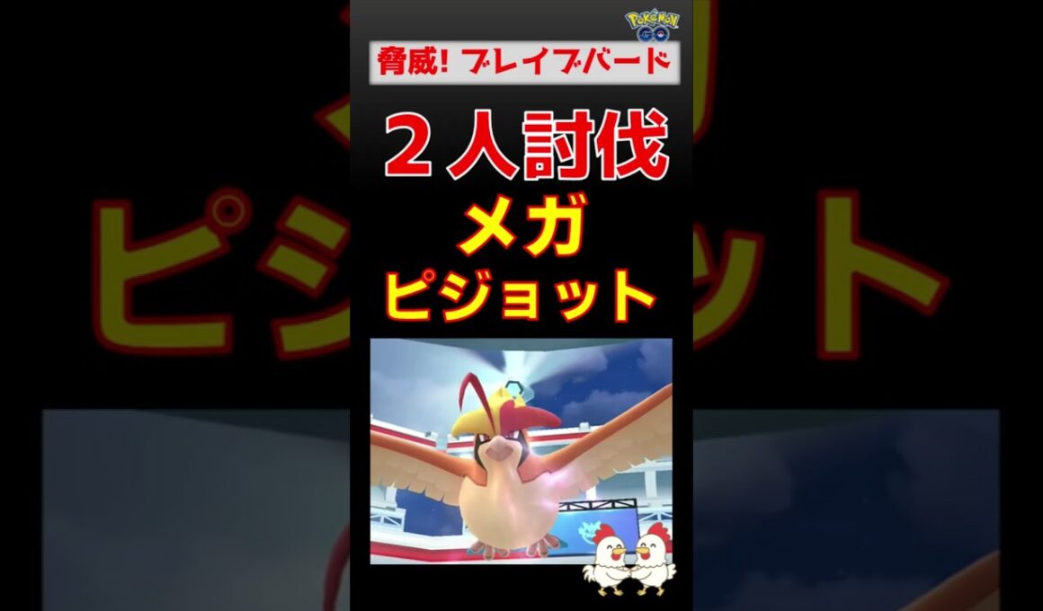 予告編【メガピジョット！2人討伐】ブレイブバード強すぎ #ポケモンgo #ポケモン #pokemongo #レイドバトル #ピジョット #メガシンカ #キュレム #バンギラス