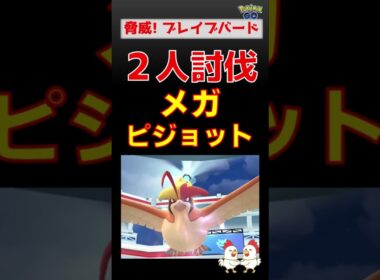 予告編【メガピジョット！2人討伐】ブレイブバード強すぎ #ポケモンgo #ポケモン #pokemongo #レイドバトル #ピジョット #メガシンカ #キュレム #バンギラス