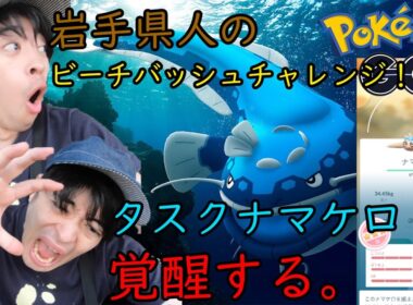 【ポケモンGO】ナマケロのタスクやるだけのつもりがとんでもないことになりました。