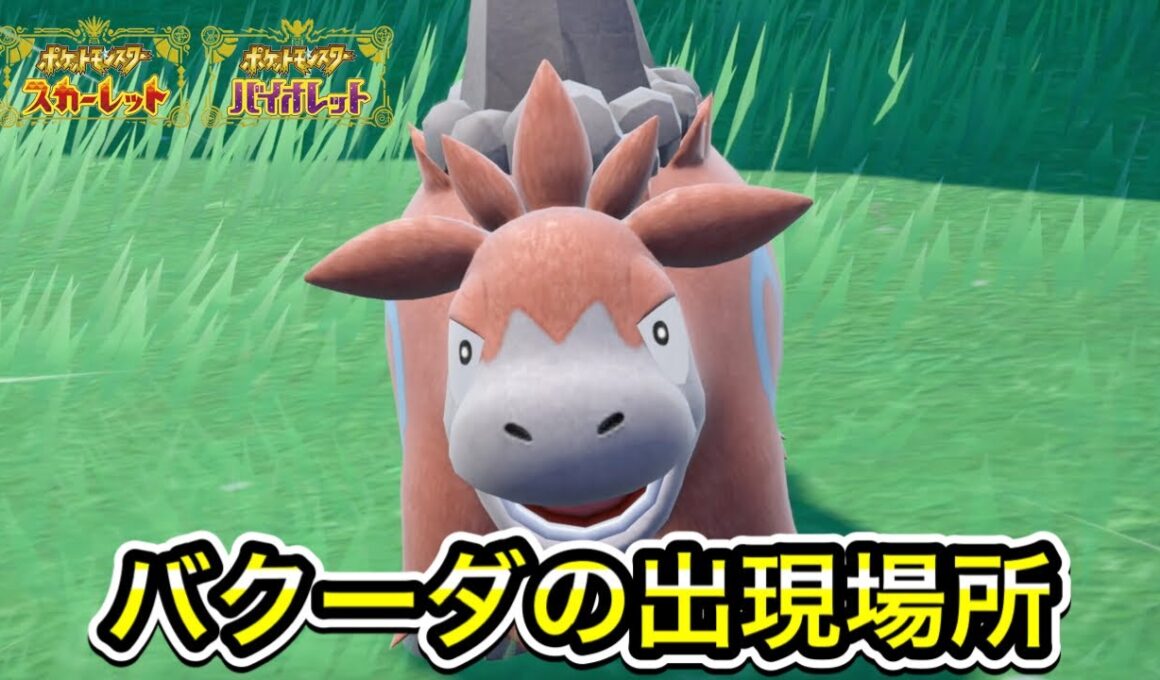 【ポケモンSV】バクーダの出現場所を教えます！