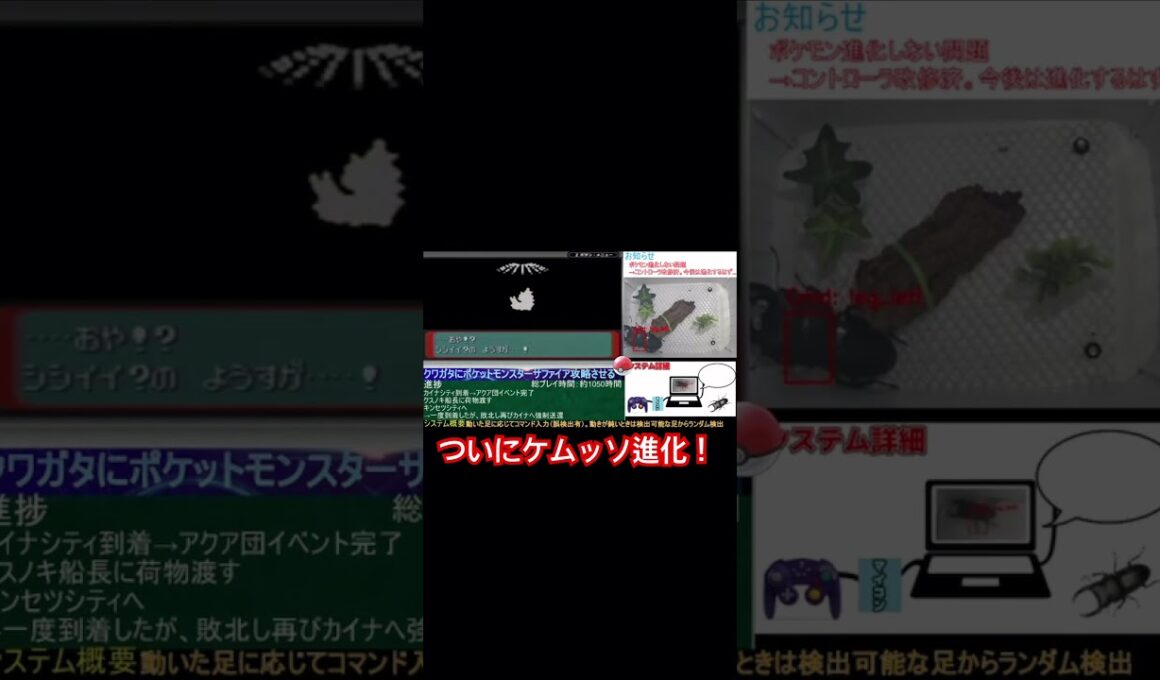 クワガタ、ついにケムッソ進化させる！ [クワガタでポケモンクリア][ポケットモンスターサファイア