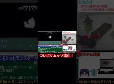 クワガタ、ついにケムッソ進化させる！ [クワガタでポケモンクリア][ポケットモンスターサファイア