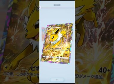 ポケポケ　サンダース☆　グレイシア