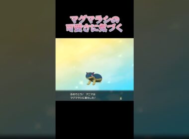 マグマラシの可愛さに気づく【LEGENDSアルセウス】#shorts