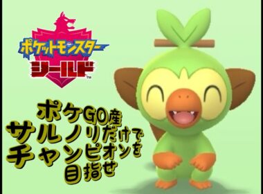 【ポケモン盾】ポケGO産サルノリだけでチャンピオンを目指せ その8
