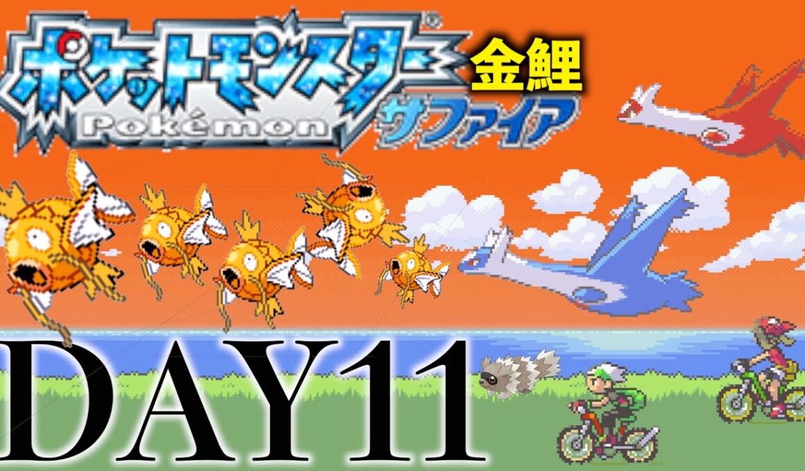 【一匹縛り】ハルカ戦に備えて準備しなくちゃ！！　パート１１【金コイキング】