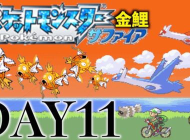 【一匹縛り】ハルカ戦に備えて準備しなくちゃ！！　パート１１【金コイキング】