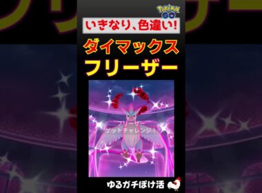 【色違い！ダイマックス フリーザー】 #ポケモンgo #ポケモン #ダイマックス #フリーザー #色違い #shinypokemon
