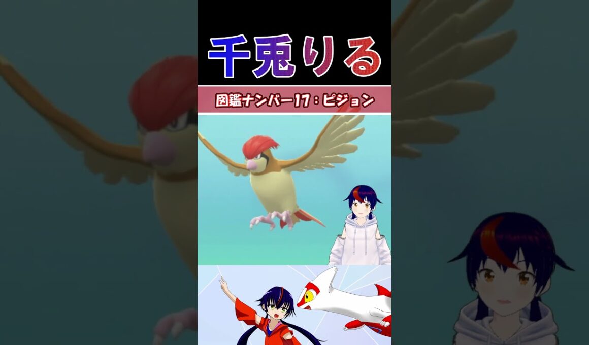 【 #vtuber / りるポケ図鑑 】図鑑No17ピジョン/Pidgeotto【 #ポケットモンスター #pokemon  #shorts  】