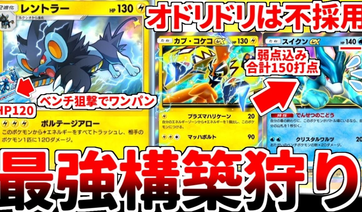 【ポケポケ】最強のスイクン対策「カプ・コケコex」を使ってみたら、相棒枠として「レントラー」のベンチ狙撃が有能過ぎるという事実に気が付いてしまいました。【ゆっくり実況】