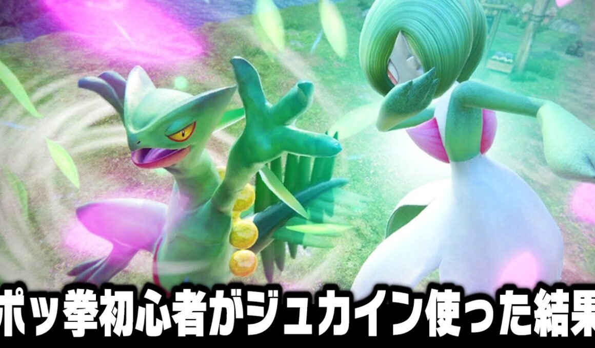 ポケモンの格ゲー『ポッ拳』に今更ハマったのでオンライン対戦で世界ランカーを目指す~第16話ジュカインのコンボが難しすぎる！~