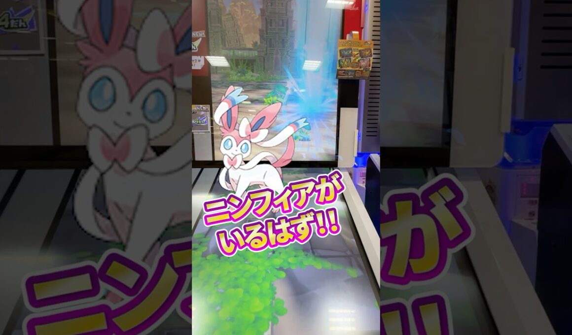 あれは絶対ニンフィアの鳴き声！間違いない・・・けど、どの草むらか見てなかった【ポケモンフレンダ】#pokemon #ポケモン #ポケモンフレンダ