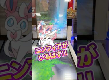 あれは絶対ニンフィアの鳴き声！間違いない・・・けど、どの草むらか見てなかった【ポケモンフレンダ】#pokemon #ポケモン #ポケモンフレンダ