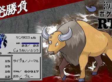 【一発勝負】初めからケンタロスlv5と挑むノーセーブ＆ノーリセットRTA！