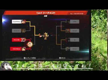 概要欄もご一読ください。トレーナーチャンネル　エテボース＆ケッキングの1on1トナメ！　PART38