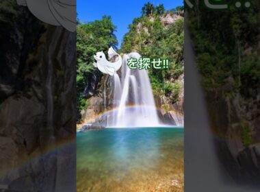 ジュゴンを探せ!!中級🔥#ポケモン #shorts #ポケモンクイズ