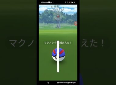 ポケモンGO実況 マクノシタ発見だぜ マクノシタの捕獲に挑んでみた 果たしてマクノシタゲットなるか 結果は〇〇だった #ポケモン #ポケモンgo #shorts #short