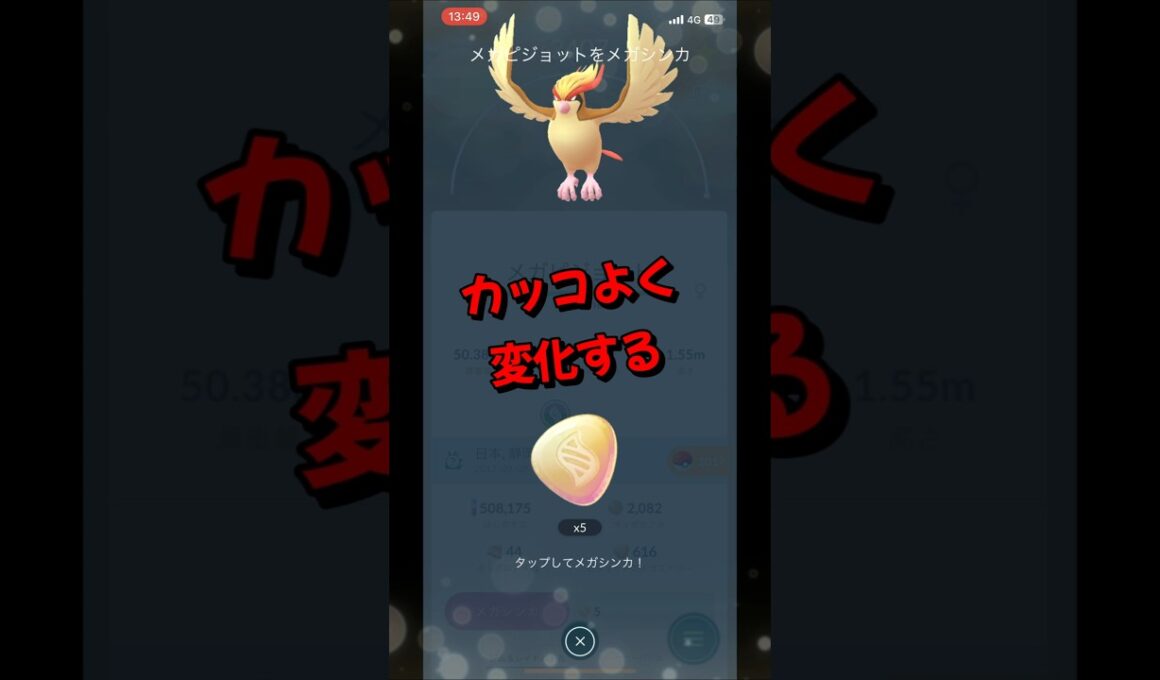 【ポケモンGO】ピジョットがメガピジョットにメガシンカする瞬間！？ #ポケモンgo #ポケモン #Shorts