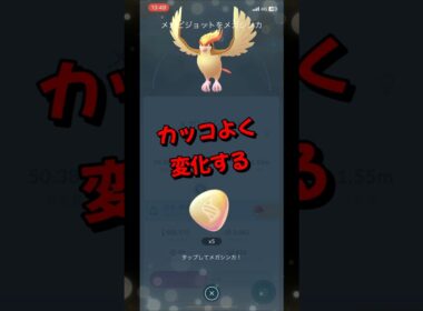 【ポケモンGO】ピジョットがメガピジョットにメガシンカする瞬間！？ #ポケモンgo #ポケモン #Shorts