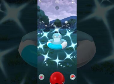 【Pokémon GO】 Shiny Psyduck GET✨