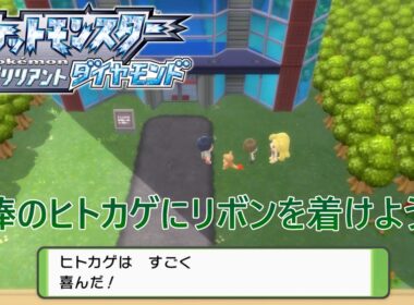 【ポケモンBDSP】相棒のヒトカゲにリボンを着けよう！