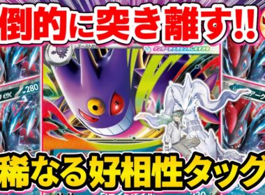 【ポケカ/対戦】この組み合わせヤバイ！メガゲンガーexとNのゾロアークexの最凶コンビに脱帽【ポケモンカード/Tier4チャンネル】