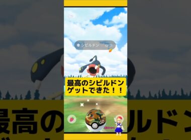最高に強いシビルドン！このイベント嬉しいすぎ〜#ポケモンgo #シビルドン#野生レア #高個体値 #個体値100 #pokemongo#ワイルドエリア  #新道ひかり