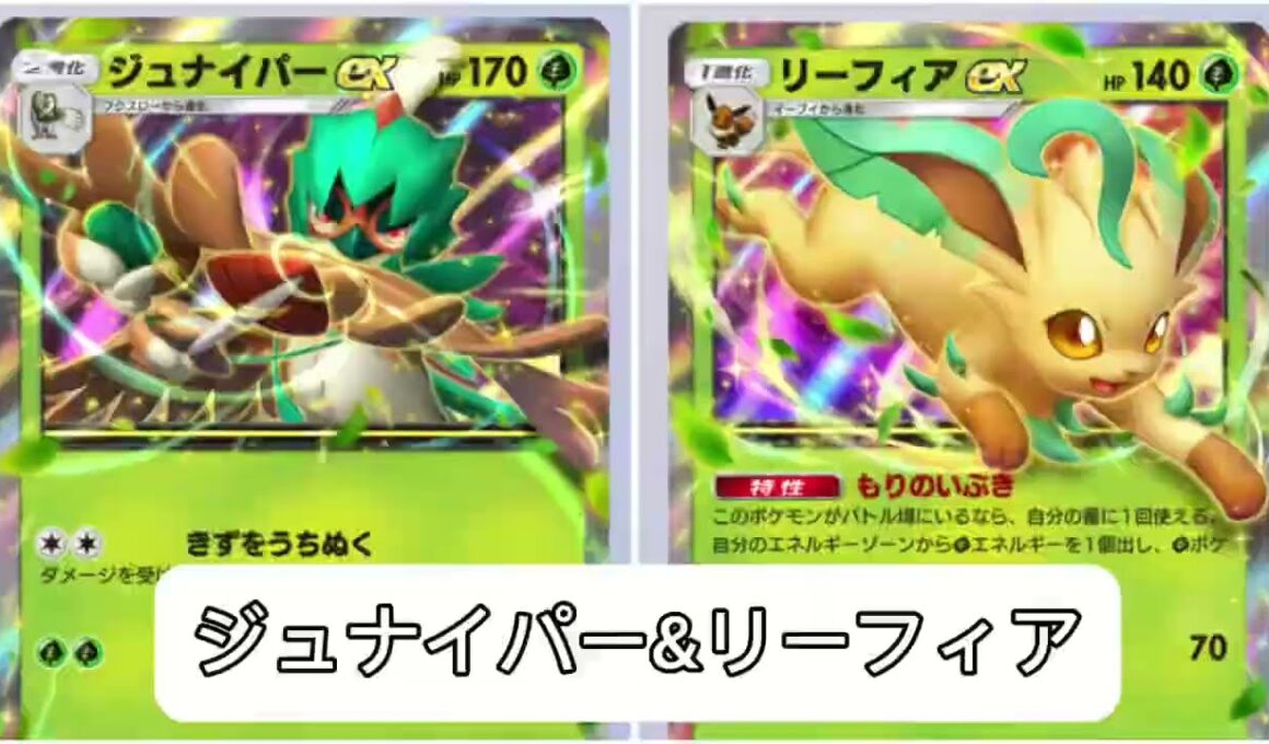 〖ポケポケ ランクマッチ〗ジュナイパーデッキ相棒はリーフィア