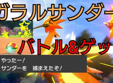 【伝説】ガラルサンダーとバトルしてオシャボでゲット！専用技「らいめいげり」炸裂！ポケモン剣盾【冠の雪原】ポケットモンスターPokémon