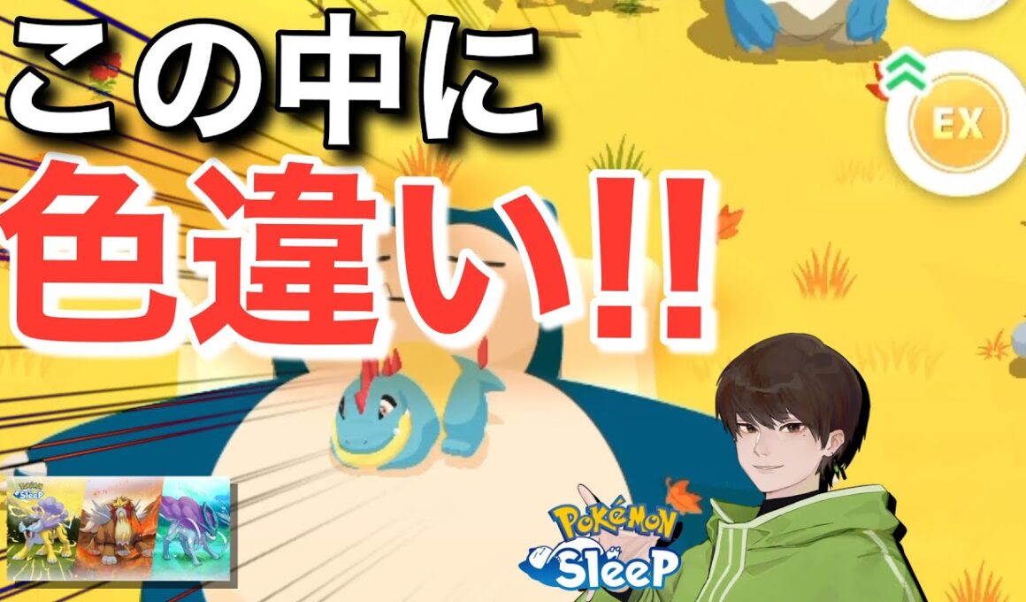 今週2体目、色違い！✨✨【ポケモンスリープ】【ライコウ・エンテイ・スイクンリサーチ】無課金リサーチ782,767日目