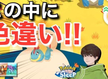 今週2体目、色違い！✨✨【ポケモンスリープ】【ライコウ・エンテイ・スイクンリサーチ】無課金リサーチ782,767日目