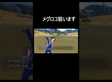 到着約３分でメグロコ【ポケットモンスタースカーレット】　#Shorts　#色違い #ポケットモンスタースカーレッド #ポケモンsv