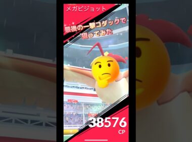 メガピジョット最後の一撃コダックで狙ってみた結果は⁉️