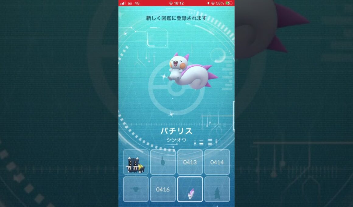 パチリス　図鑑登録演出　#ポケモンgo #ポケモン