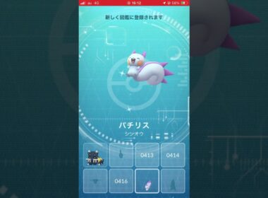 パチリス　図鑑登録演出　#ポケモンgo #ポケモン