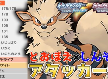 まさかの攻撃力上昇！？積んで"しんそく"無双したい『ウインディ』を使って対戦！【ポケモンBDSP】【コロシアム】【No.182】