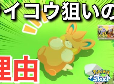 ライコウ狙いに切り替える理由【ポケモンスリープ】【ライコウ・エンテイ・スイクンリサーチ】無課金リサーチ781,766日目