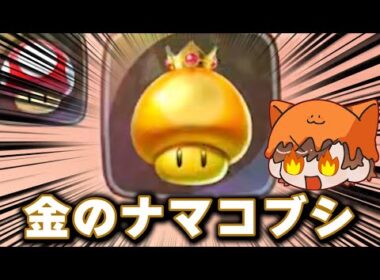 絶望からの大逆転　～現れた黄金のナマコブシ～