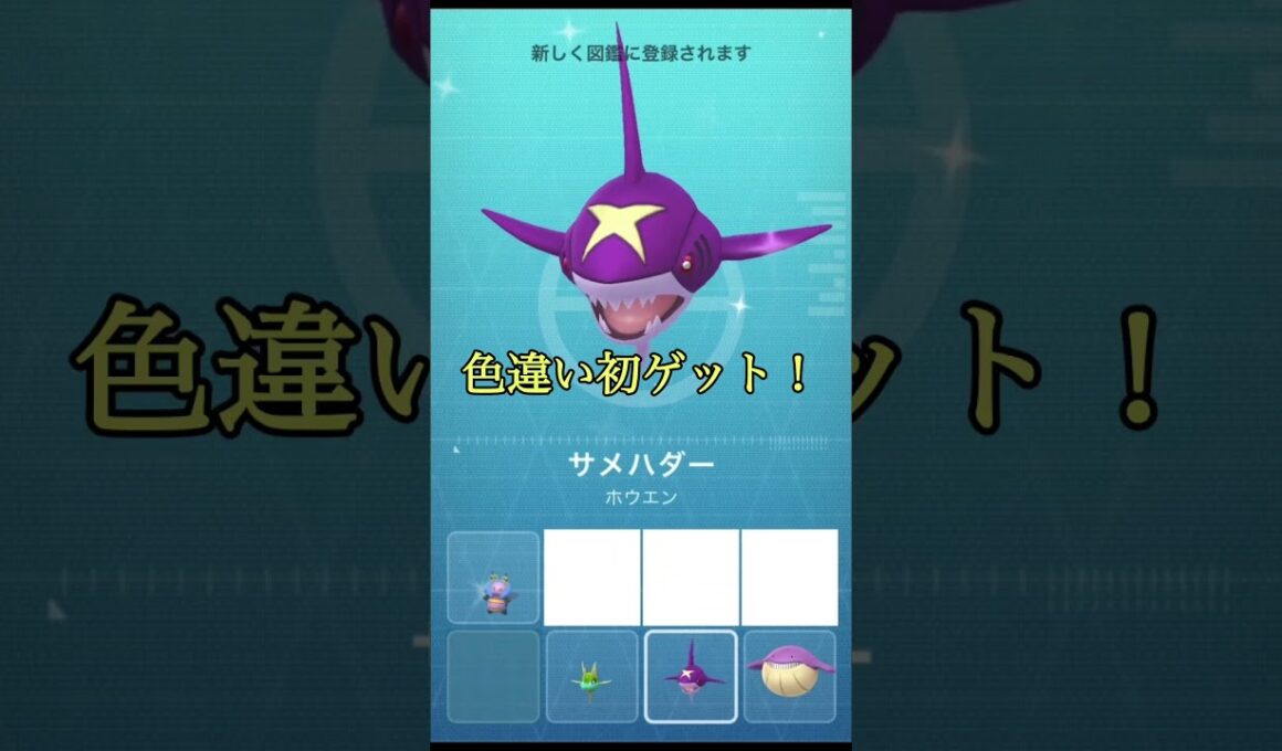 【ポケモンGO】色違いのサメハダーをメガシンカさせてみた #shorts