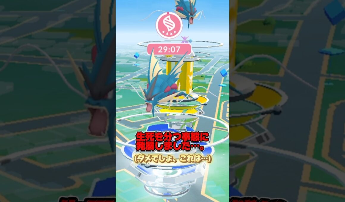 メガギャラドスレイドデイでほぼイキかけました…。 #ポケモン #ポケモンgo #メガギャラドス #ギャラドス #色違い #メガギャラドスレイドデイ