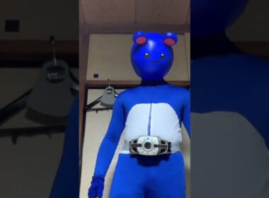 世界を通りすがってきた系マリル