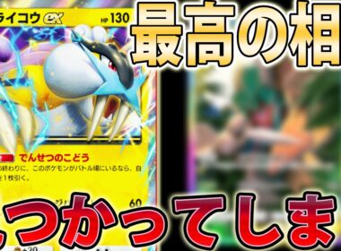 【相性最高】「ライコウ」と究極の相棒のデッキで全員倒せる【Pokémon Trading Card Game Pocket】
