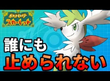 【ポケモンSV】最速シェイミ【ダブルバトル】