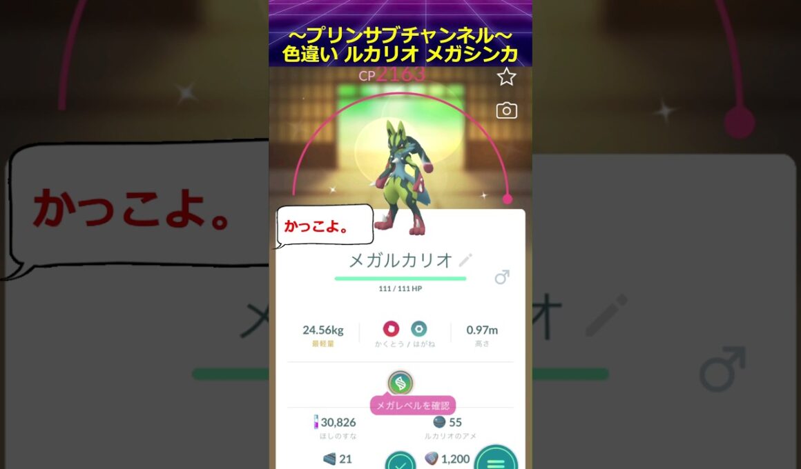 🐱‍🐉色違い🦝 メガルカリオ  ポケモンgo with we20fifty / Together #ポケモンgo #ルカリオ #メガルカリオ