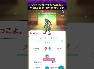 🐱‍🐉色違い🦝 メガルカリオ  ポケモンgo with we20fifty / Together #ポケモンgo #ルカリオ #メガルカリオ