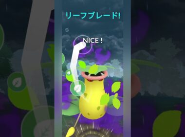 【ポケモンGO】リーフブレードを連打するウツボットがヤバい！【サマーカップ】【バトルリーグ】#shorts #ポケモンgo #goバトルリーグ #gbl #サマーカップ #pokemongo