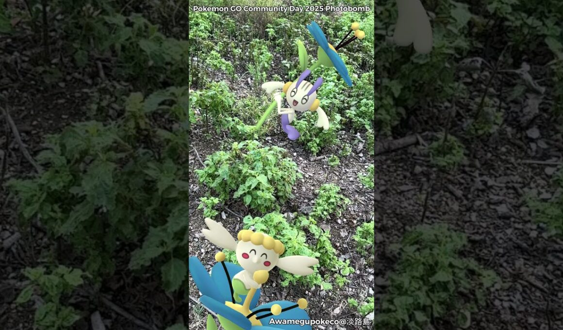 フラベベ｜Flabebe｜フラエッテ｜Floette｜フラージェス｜Florges｜ShinyPokémon【ポケモンGO】PoKeMoN GO AR｜AR動画｜GOsnapshot